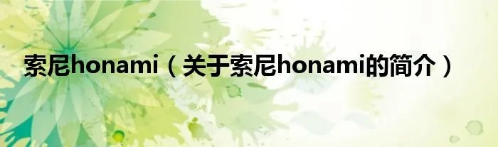 索尼honami（关于索尼honami的简介）