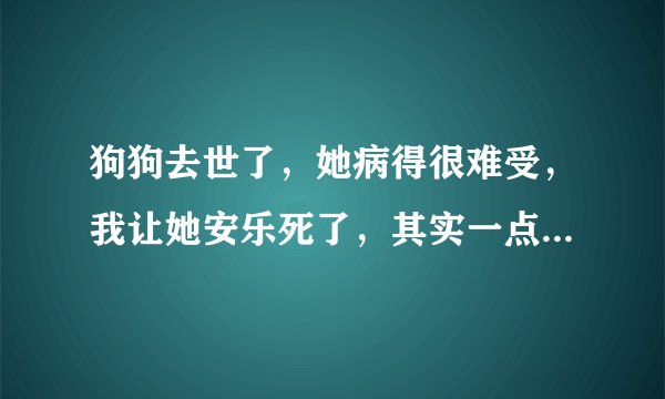 狗狗去世了,她病得很难受,我让她安乐死了,其实一点也不安乐,很痛苦,她会恨我的。