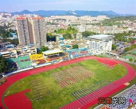 新塘人才网，增城人才网？？？