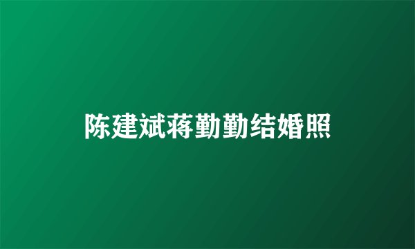 陈建斌蒋勤勤结婚照