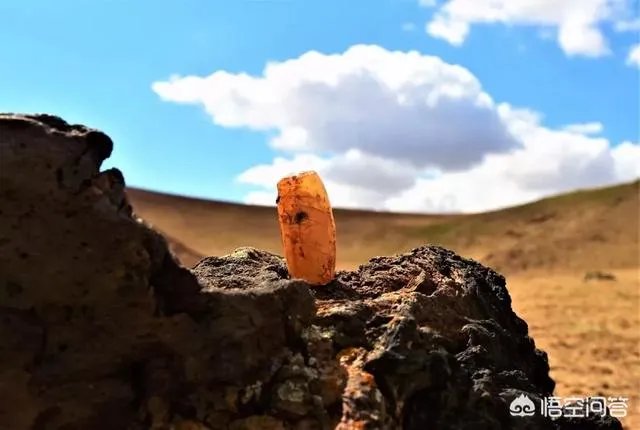 沙漠罕见8月降雪