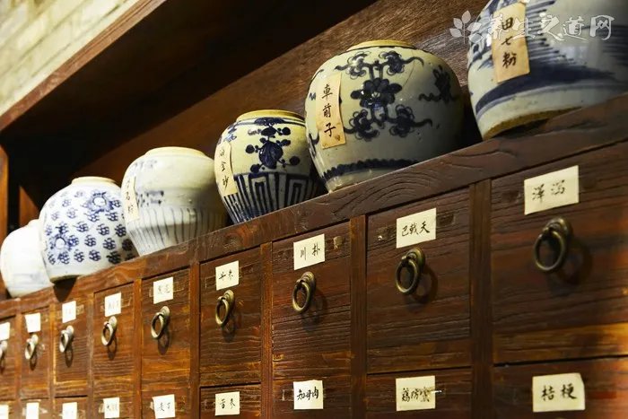 大众多功能商务车Multivan介绍