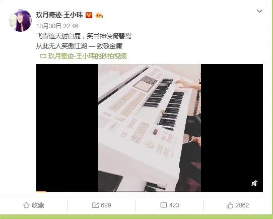 玖月奇迹的琴是什么琴 网曝价格大概在八九万左右