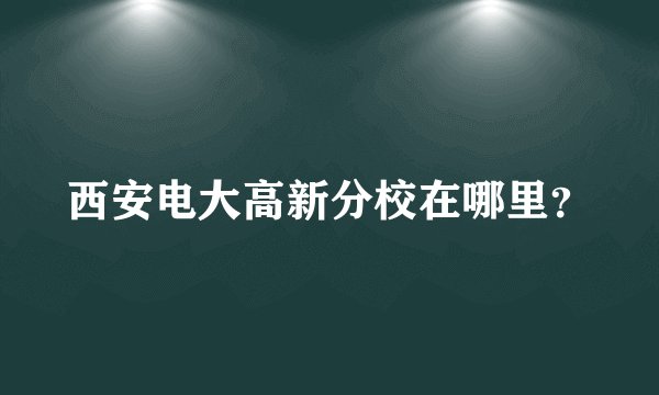 西安电大高新分校在哪里？