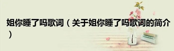 姐你睡了吗歌词（关于姐你睡了吗歌词的简介）