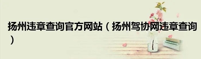 扬州违章查询官方网站（扬州驾协网违章查询）