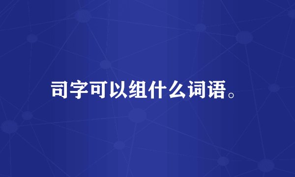 司字可以组什么词语。