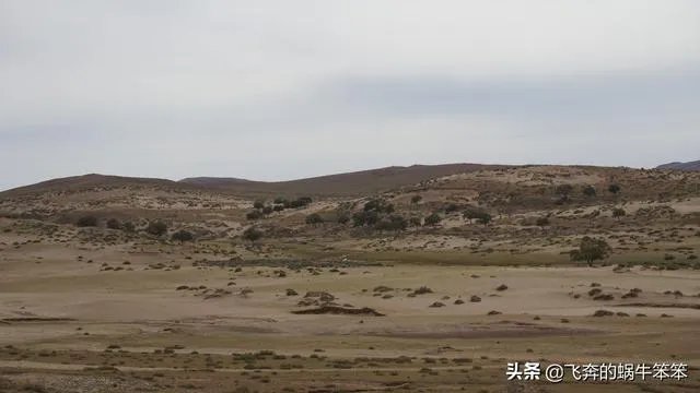 沙漠罕见8月降雪