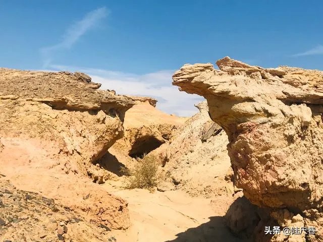 沙漠罕见8月降雪