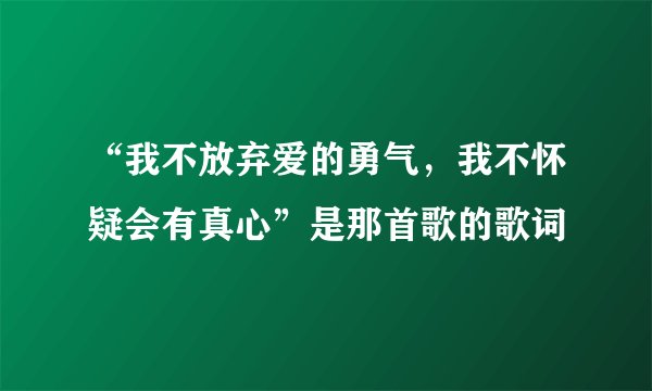 “我不放弃爱的勇气,我不怀疑会有真心”是那首歌的歌词