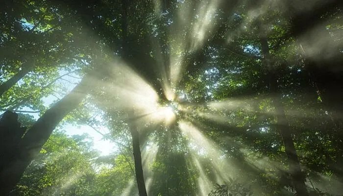 lol好看的英文名字 lol好听的英文id