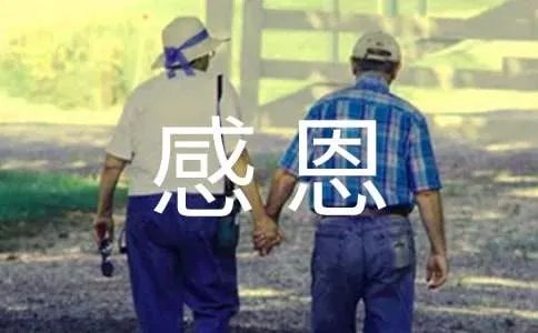 拥有一颗感恩的心作文