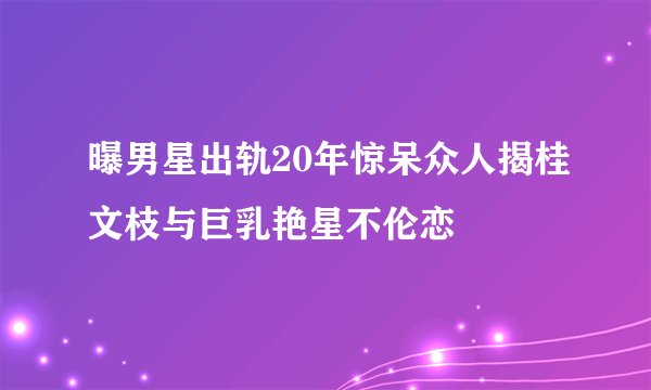 曝男星出轨20年惊呆众人揭桂文枝与巨乳艳星不伦恋