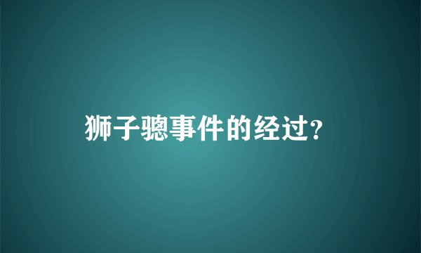 狮子骢事件的经过?