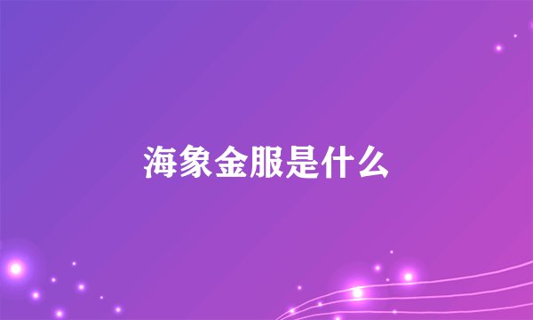 海象金服是什么
