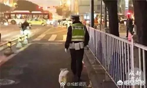 如何看待成都街头流浪小狗求助辅警，守候路边等他下班，最终被收养？