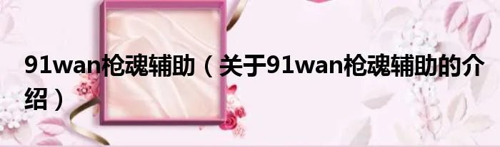 91wan枪魂辅助（关于91wan枪魂辅助的介绍）