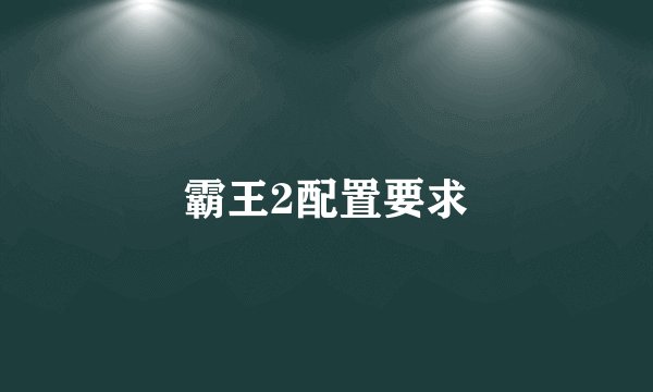 霸王2配置要求