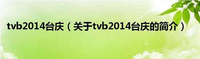 tvb2014台庆（关于tvb2014台庆的简介）