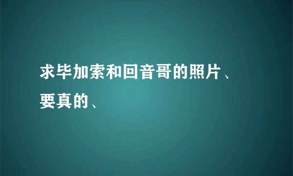 求毕加索和回音哥的照片、 要真的、