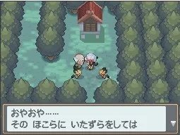 NDS《口袋妖怪:金心/银魂》神兽获得攻略