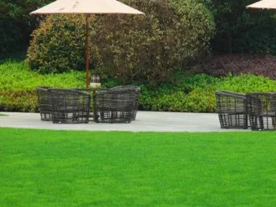 内蒙古培养出耐踩草坪,这种草坪真的可以随意踩吗?