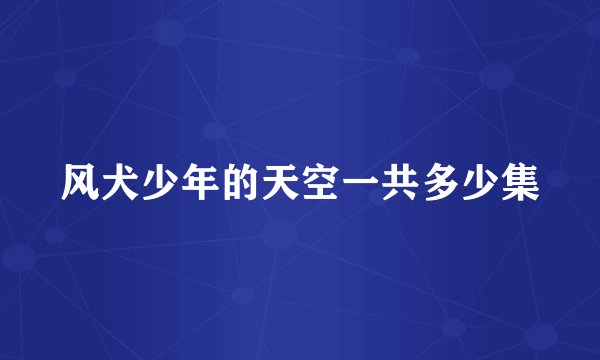 风犬少年的天空一共多少集