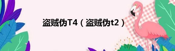 盗贼伪T4（盗贼伪t2）