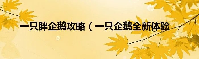 一只胖企鹅攻略（一只企鹅全新体验