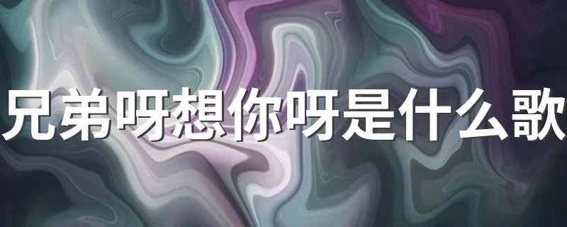 兄弟呀想你呀是什么歌 歌名是兄弟啊想你了