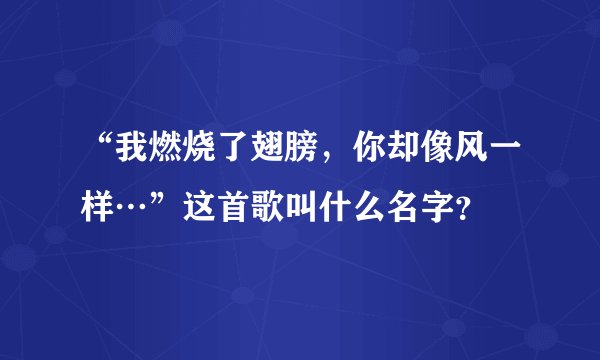 “我燃烧了翅膀,你却像风一样…”这首歌叫什么名字?