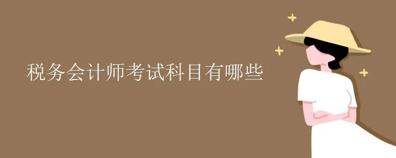 税务会计师考试科目有哪些
