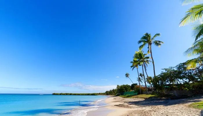 海洋生物资源最丰富的是哪个大洋