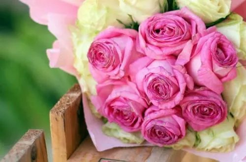 唐思甜霍庭宸小说_唐思甜霍庭宸完整版阅读