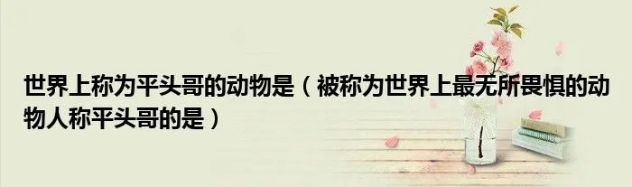 世界上称为平头哥的动物是（被称为世界上最无所畏惧的动物人称平头哥的是）