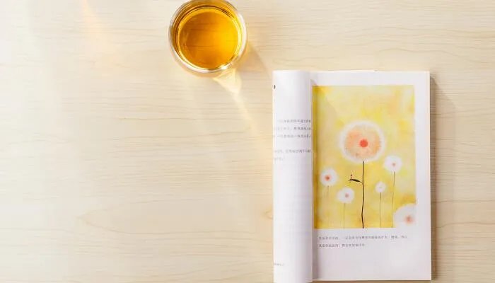 民不聊生是什么意思