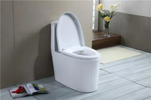 马桶没水了是怎么回事