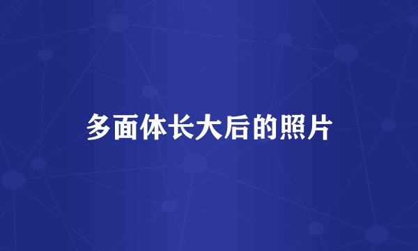 多面体长大后的照片