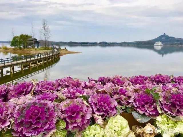 池州人生活水平怎么样