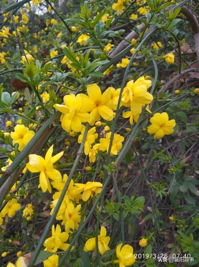 如何关爱医护人员