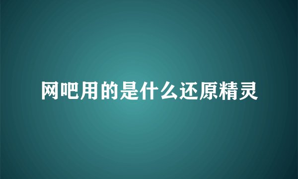 网吧用的是什么还原精灵