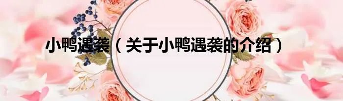 小鸭遇袭（关于小鸭遇袭的介绍）