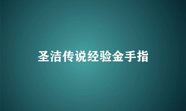 圣洁传说经验金手指