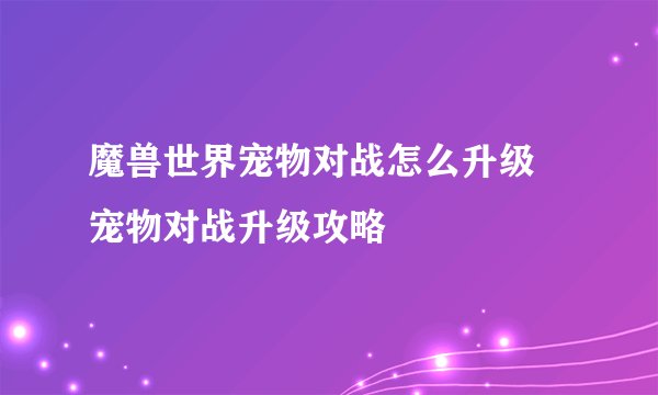 魔兽世界宠物对战怎么升级 宠物对战升级攻略