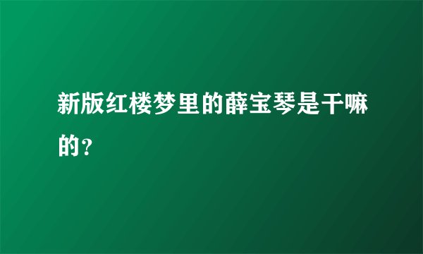 新版红楼梦里的薛宝琴是干嘛的？