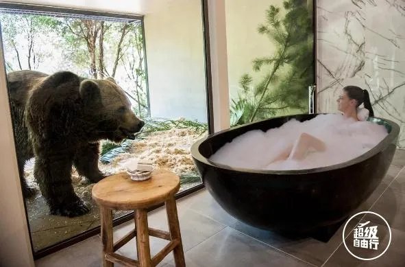 全球最惊艳的酒店有哪些?