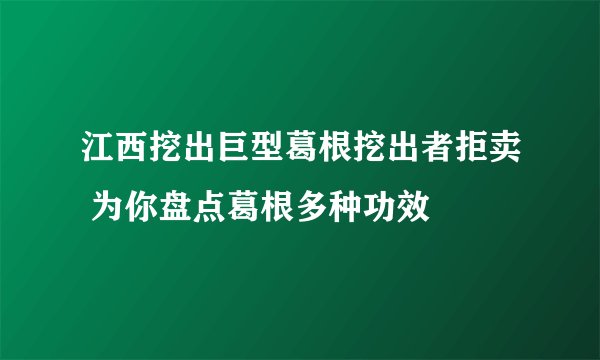 江西挖出巨型葛根挖出者拒卖 为你盘点葛根多种功效