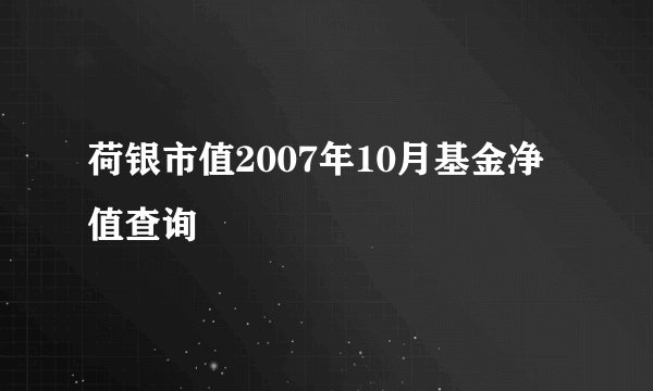 荷银市值2007年10月基金净值查询