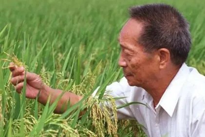 长沙外卖小哥称长沙外卖单全是鲜花,这是怎么回事?