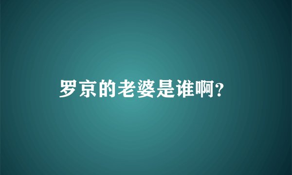 罗京的老婆是谁啊？